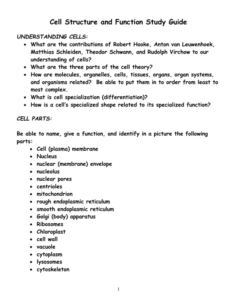 Cell Structure And Function Study Guide