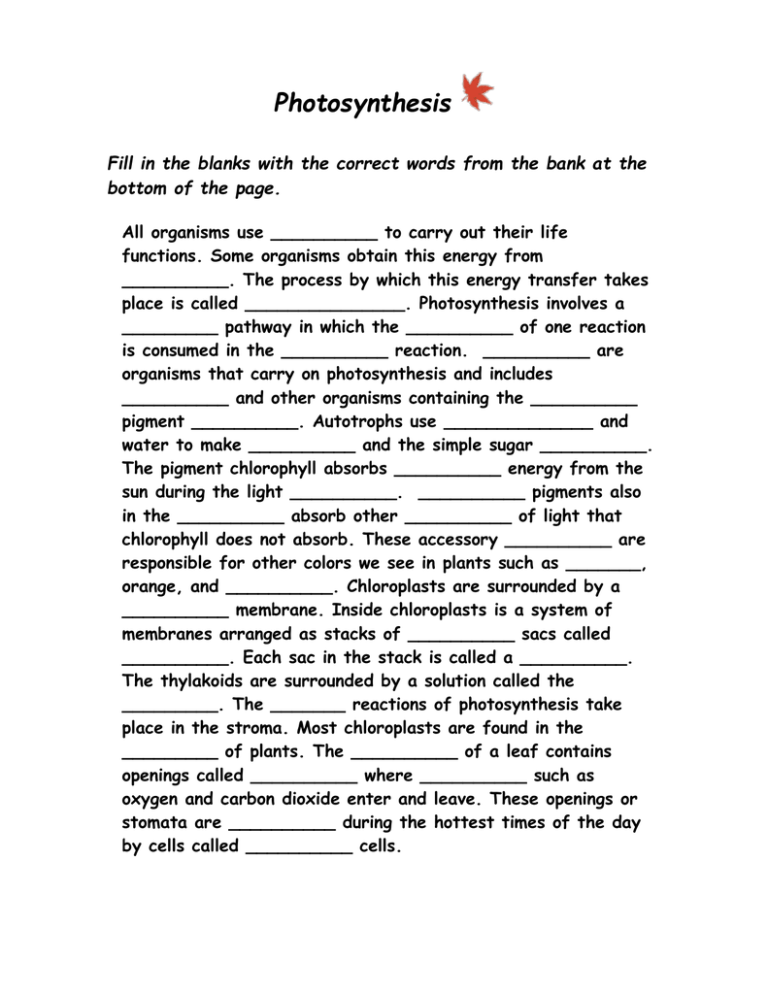Photosynthesis Fill In The Blanks With The Correct Words From The 