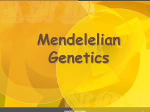 Mendelelian Genetics 1 copyright cmassengale