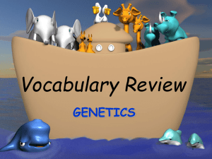 Vocabulary Review GENETICS 1
