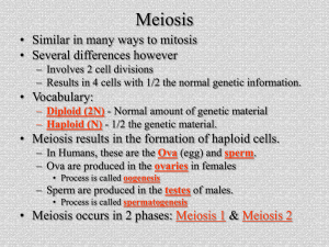 Meiosis • Similar in many ways to mitosis • Several differences however