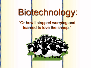 Biotechnology: “Or how I stopped worrying and learned to love the sheep.”