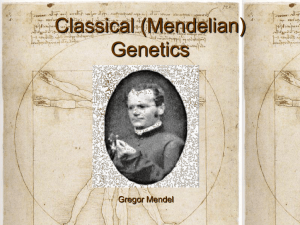 Classical (Mendelian) Genetics Gregor Mendel