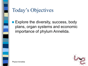 Today’s Objectives Explore the diversity, success, body plans, organ systems and economic
