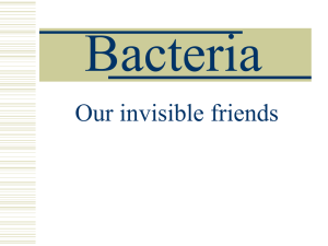 Bacteria Our invisible friends