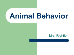 Animal Behavior Mrs. Rightler