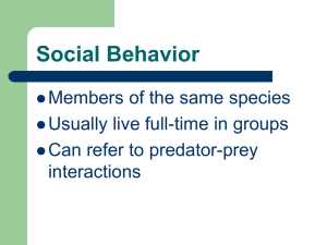 Social Behavior Members of the same species Usually live full-time in groups