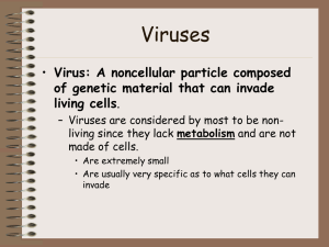 Viruses Virus: A noncellular particle composed of genetic material that can invade
