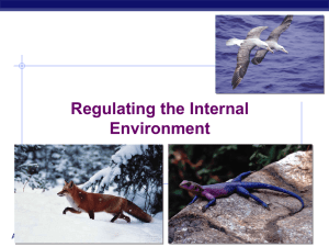 Regulating the Internal Environment AP Biology 2006-2007