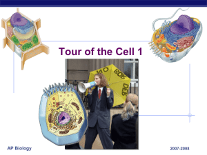 Tour of the Cell 1 AP Biology 2007-2008
