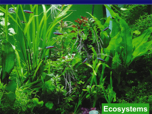 Ecosystems AP Biology