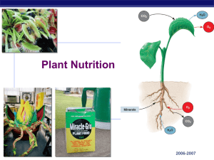 Plant Nutrition AP Biology 2006-2007