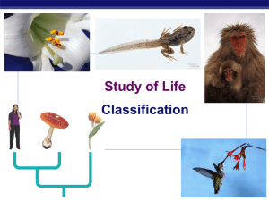 Study of Life Classification