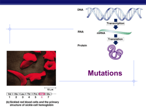 Mutations AP Biology