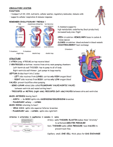 CIRCULATORY SYSTEM FUNCTION  REMEMBER EVOLUTIONARY TRENDS !