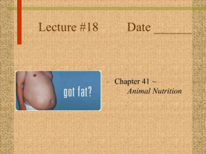 Lecture #18        ... Chapter 41 ~ Animal Nutrition •