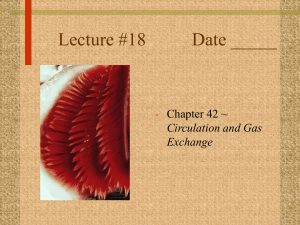 Lecture #18 Date _____ Chapter 42 ~ Circulation and Gas