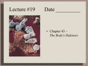 Lecture #19 Date _________ • Chapter 43 ~ The Body’s Defenses