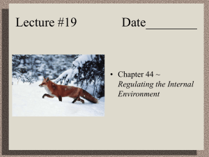 Lecture #19         ... • Chapter 44 ~ Regulating the Internal Environment
