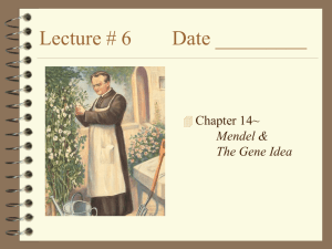 Lecture # 6 Date _________ Chapter 14~ Mendel &amp;