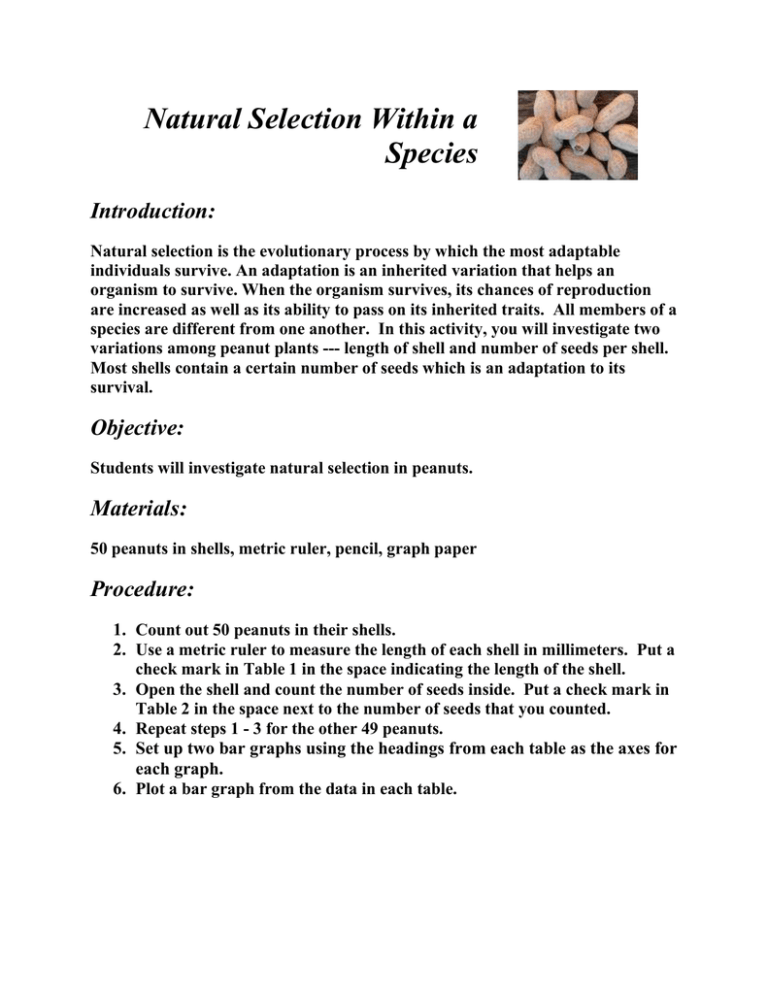 natural selection essay topics