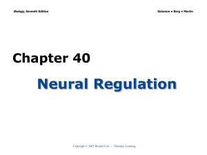 Neural Regulation Chapter 40 Biology, Copyright © 2005 Brooks/Cole — Thomson Learning