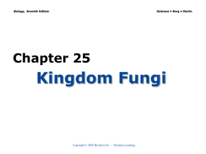 Kingdom Fungi Chapter 25 Biology, Copyright © 2005 Brooks/Cole — Thomson Learning