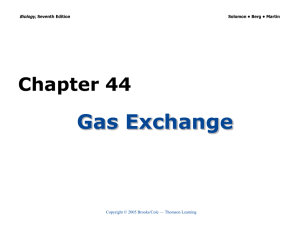 Gas Exchange Chapter 44 Biology, Copyright © 2005 Brooks/Cole — Thomson Learning