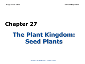 The Plant Kingdom: Seed Plants Chapter 27 Biology,