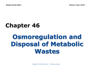 Osmoregulation and Disposal of Metabolic Wastes Chapter 46