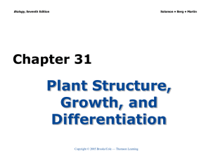 Plant Structure, Growth, and Differentiation Chapter 31