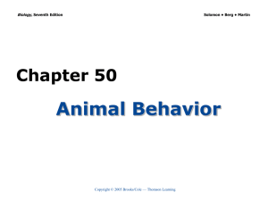 Animal Behavior Chapter 50 Biology, Copyright © 2005 Brooks/Cole — Thomson Learning