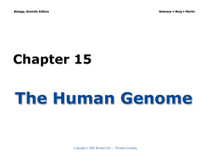 The Human Genome Chapter 15 Biology, Copyright © 2005 Brooks/Cole — Thomson Learning