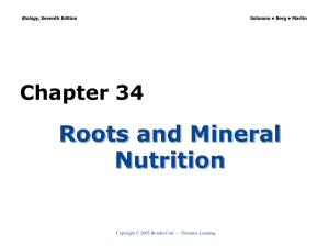Roots and Mineral Nutrition Chapter 34 Biology,