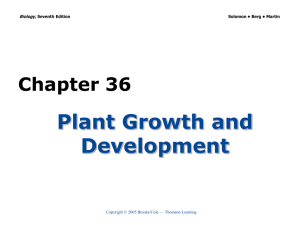 Plant Growth and Development Chapter 36 Biology,