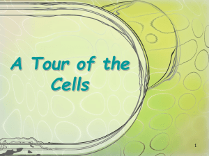 A Tour of the Cells 1