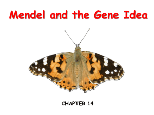 Mendel and the Gene Idea CHAPTER 14