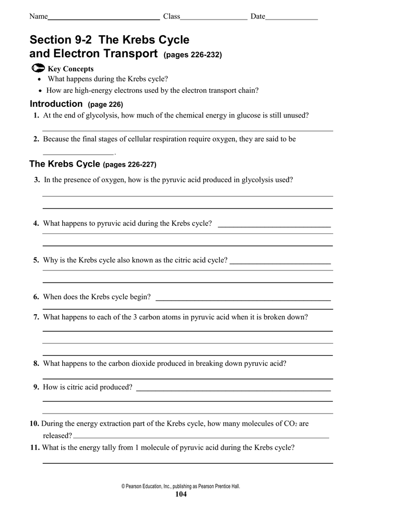 Section 9 2 The Krebs Cycle And Electron Transport