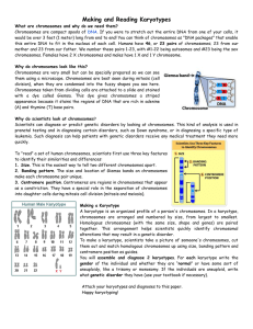 Making and Reading Karyotypes