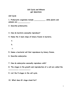 Cell Cycle and Mitosis ppt Questions Cell Cycle