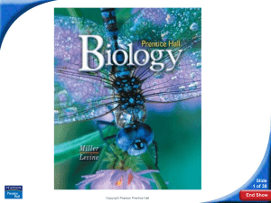 Prentice Hall Biology Slide 1 of 38