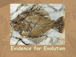 Evidence for Evolution 1
