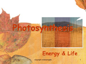 Photosynthesis Energy &amp; Life 1 copyright cmassengale