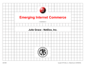 Emerging Internet Commerce Julie Grace - NetDox, Inc. ‹#›