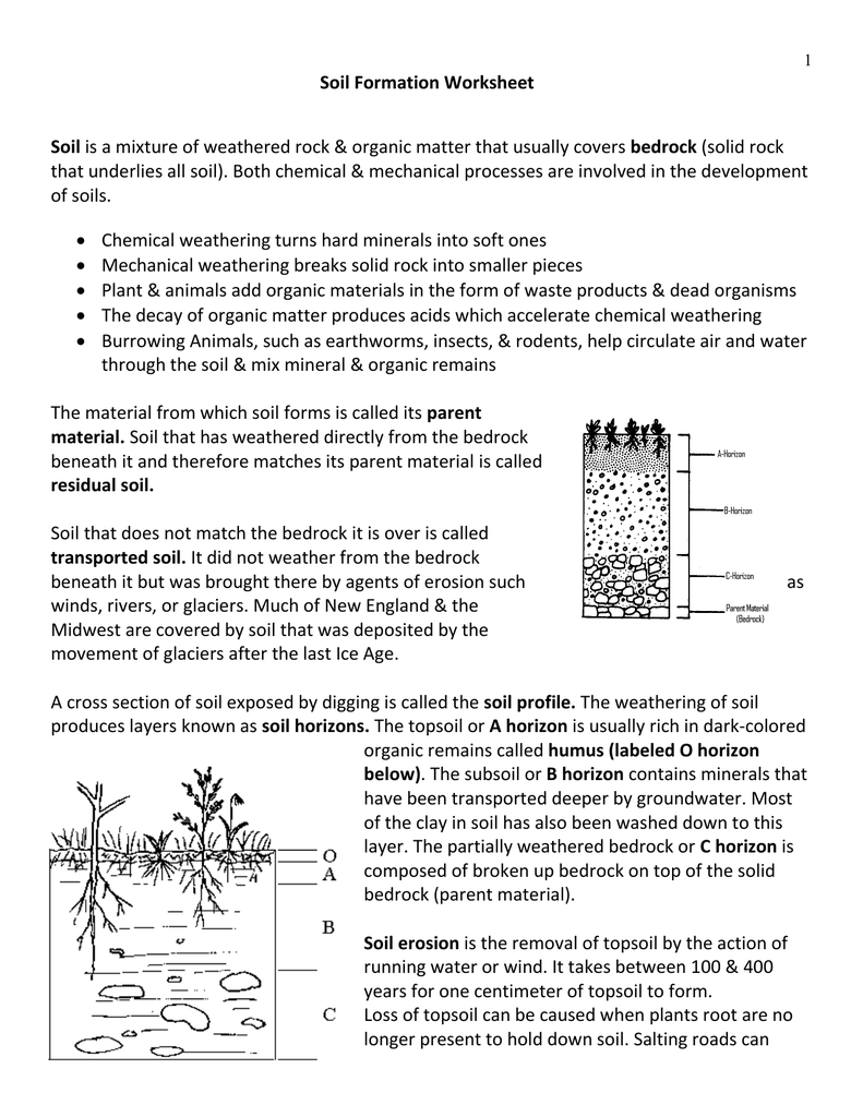 Soil Formation Worksheet Soil of soils. In Layers Of Soil Worksheet