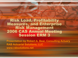 Risk Load, Profitability Measures, and Enterprise Risk Management 2006 CAS Annual Meeting