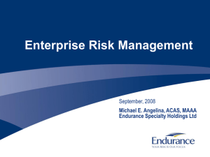Enterprise Risk Management September, 2008 Michael E. Angelina, ACAS, MAAA