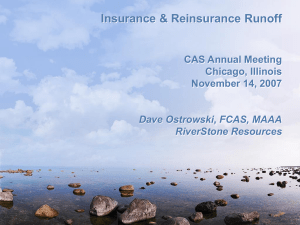 Insurance &amp; Reinsurance Runoff CAS Annual Meeting Chicago, Illinois November 14, 2007