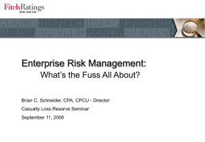 Enterprise Risk Management: What’s the Fuss All About? Casualty Loss Reserve Seminar