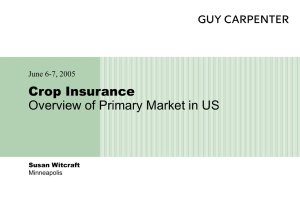 Crop Insurance Overview of Primary Market in US June 6-7, 2005 Susan Witcraft
